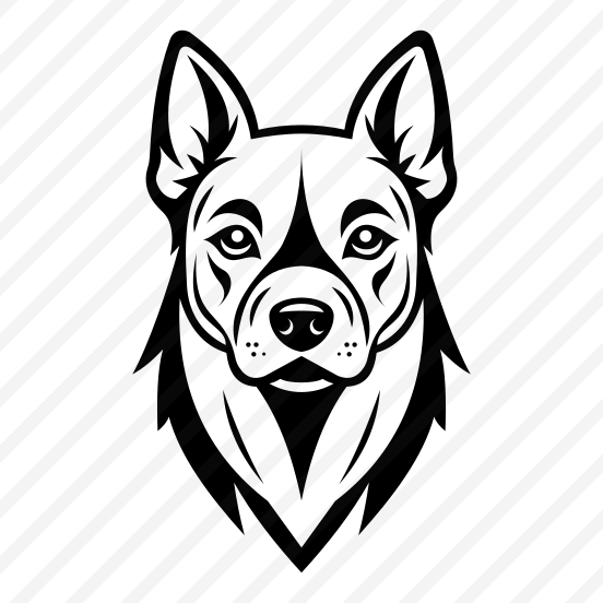 Dog, Animal, Fauna, Zoology, Creature preview
