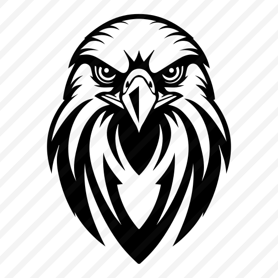 Eagle, Bird, Zoology, Creature, Head preview