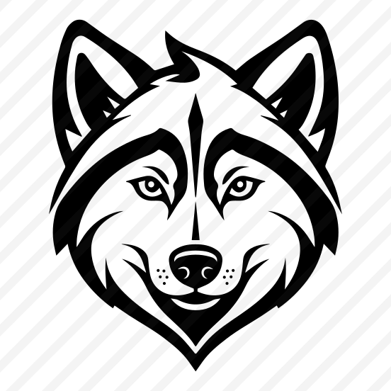 Husky, Dog, Siberian, Animal, Fauna preview