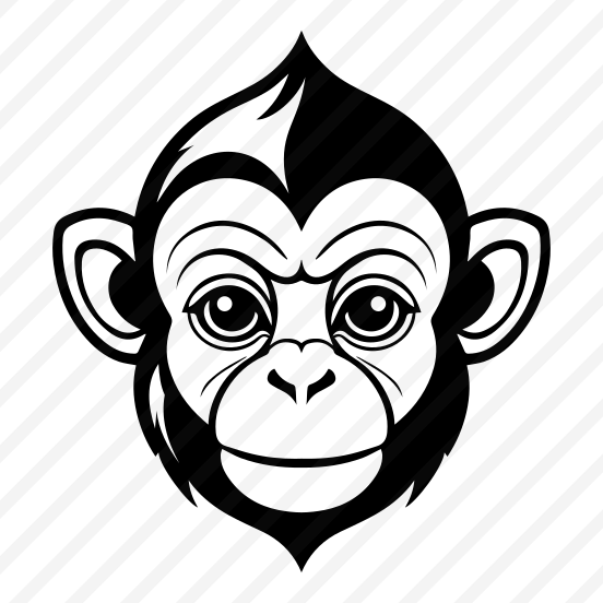 Monkey, Animal, Fauna, Zoology, Creature preview