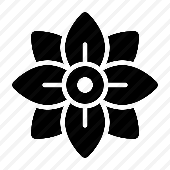 Plumeria, Flower, Floral, Blooming, Petals preview