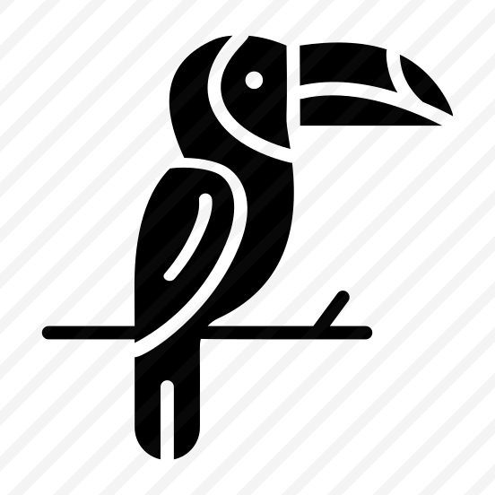 Toucan, Bird, Creature, Specie, Tropical preview