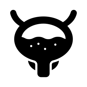 Bladder, Anatomy, Biology, Organ, Science icon