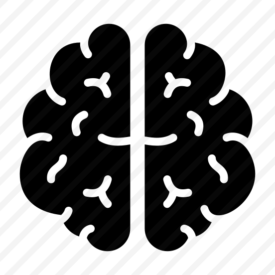 Brain, Mind, Cerebrum, Neurology, Organ preview