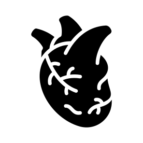 Heart, Cardiac, Cardiovascular, Organ, Arteries icon