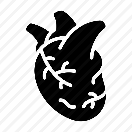 Heart, Cardiac, Cardiovascular, Organ, Arteries preview