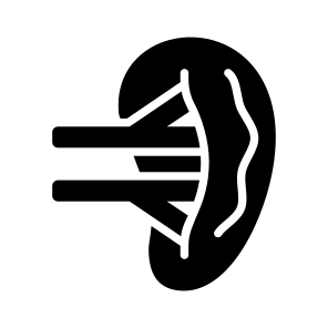 Kidney, Nephron, Renal, Organ, Urinary icon