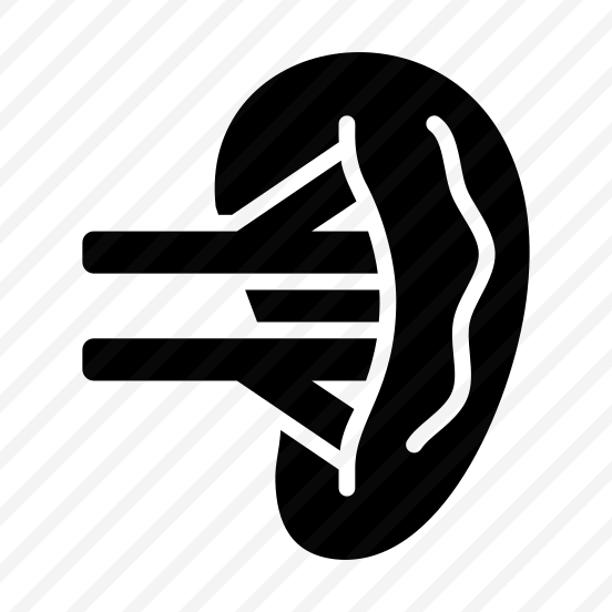 Kidney, Nephron, Renal, Organ, Urinary preview