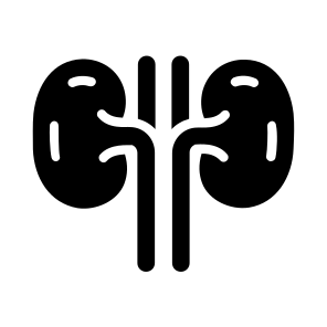 Kidneys, Nephrons, Renal, Organ, Urinary icon