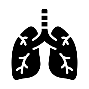 Lungs, Respiratory, Breathing, Organ, Anatomy icon