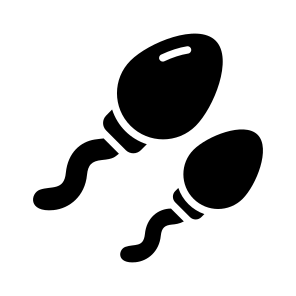 Spermatozoa, Sperms, Cells, Reproductive, Gametes icon