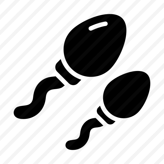 Spermatozoa, Sperms, Cells, Reproductive, Gametes preview