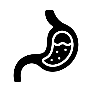 Stomach, Digestive, Organ, Anatomy, Biology icon