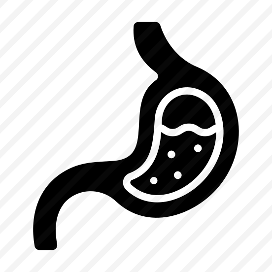 Stomach, Digestive, Organ, Anatomy, Biology preview