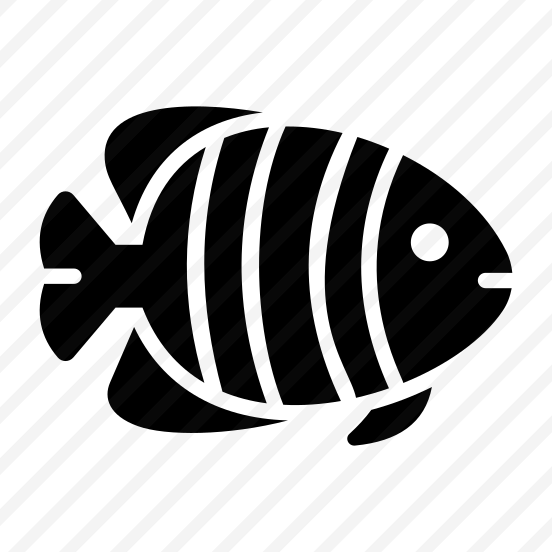 Fish, Seafish, Animal, Creature, Specie preview