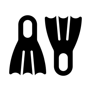 Flippers, Fins, Footwear, Diving, Footgear icon