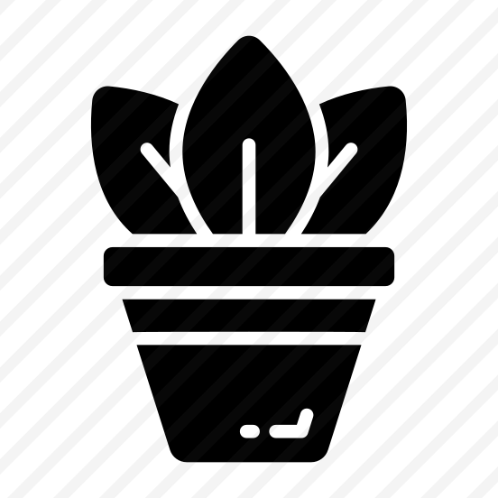 Potted, Plant, Houseplant, Gardening, Pot preview