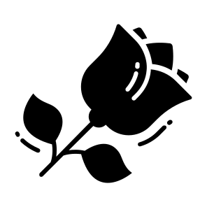 Rose, Flower, Natural, Fragrance, Blossom, icon