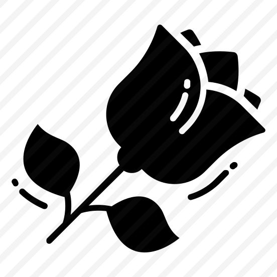 Rose, Flower, Natural, Fragrance, Blossom, preview