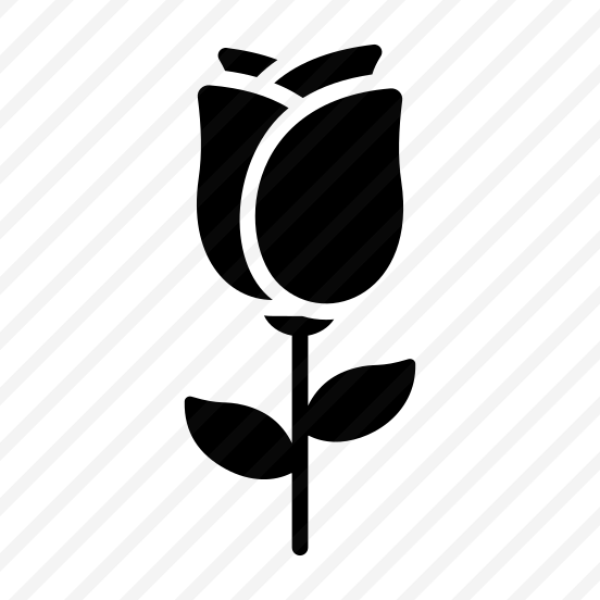Rose, Rosebud, Flower, Floral, Blooming preview