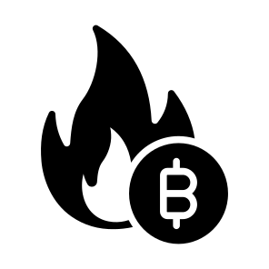 Burn, Loss, Bitcoin, Crypto, Cryptocurrency icon
