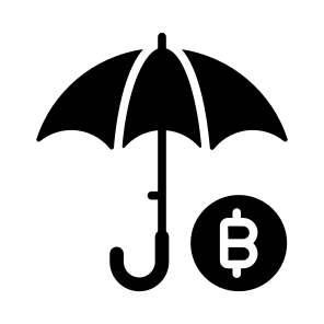Insurance, Assurance, Coverage, Bitcoin, Crypto icon