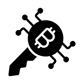 Key, Digital, Asset, Bitcoin, Crypto icon