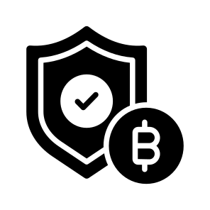 Safety, Protection, Insurance, Assurance, Bitcoin icon