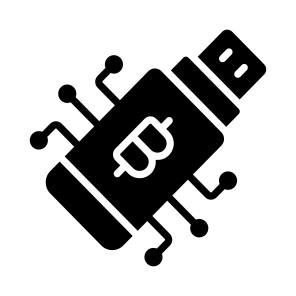 Usb, Pendrive, Storage, Memory, Bitcoin icon
