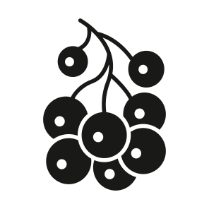 Berries, Blueberries, Grapes, Fruit, Nature icon