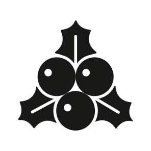 Christmas, Berries, Holy, Mistletoe, Acai icon