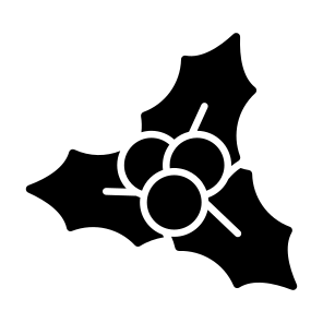 Mistletoe, Christmas, Holly, Berries, Winter, icon