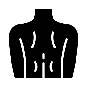 Back, Spine, Muscles, Body, Posture icon