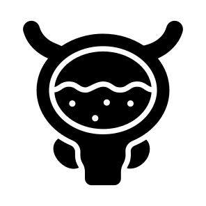Bladder, Excretion, Urinary, Organ, Anatomy icon