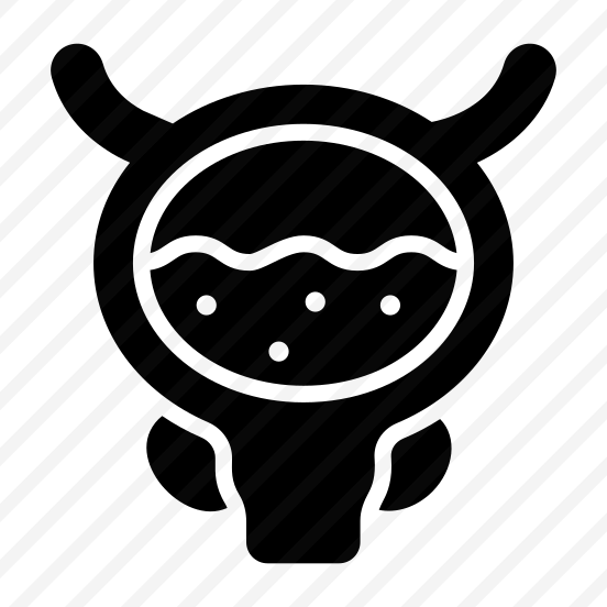 Bladder, Excretion, Urinary, Organ, Anatomy preview