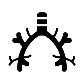 Bronchus, Bronchi, Respiration, Breathing, Organ icon