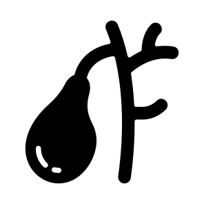 Duct, Gallbladder, Organ, Bile, Anatomy icon