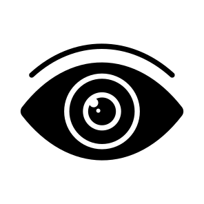Eye, Vision, Retina, Iris, Pupil icon