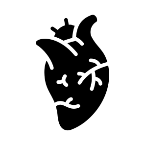 Heart, Cardiac, Organ, Circulation, Anatomy icon