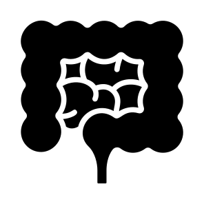 Intestine, Gut, Digestive, Organ, Anatomy icon