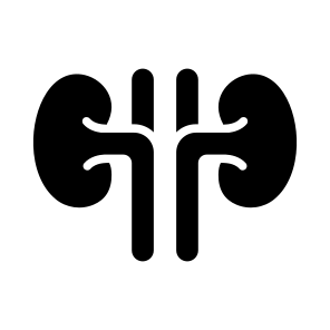 Kidneys, Renal, Urinary, Excretion, Organ icon
