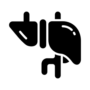 Liver, Detox, Hepatic, Organ, Anatomy icon