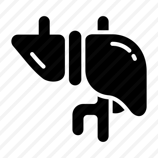 Liver, Detox, Hepatic, Organ, Anatomy preview
