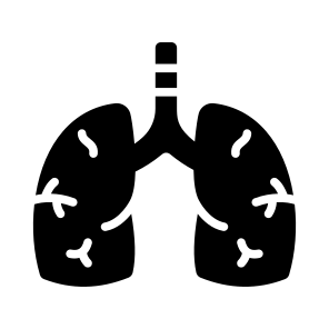 Lungs, Breathing, Respiratory, Alveoli, Pulmonary icon