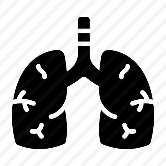 Lungs, Breathing, Respiratory, Alveoli, Pulmonary preview