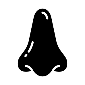 Nose, Nostrils, Olfactory, Breathing, Organ icon