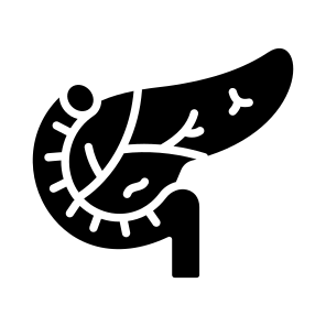 Pancreas, Organ, Gland, Digestion, Anatomy icon