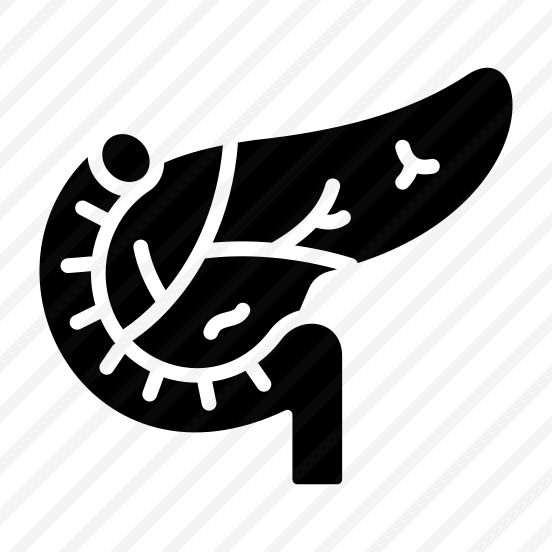 Pancreas, Organ, Gland, Digestion, Anatomy preview
