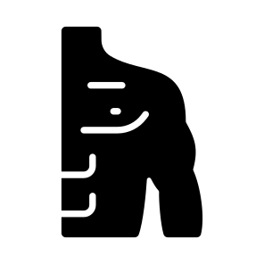 Shoulder, Joint, Muscles, Body, Scapula icon
