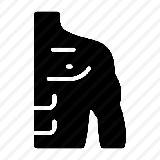 Shoulder, Joint, Muscles, Body, Scapula preview